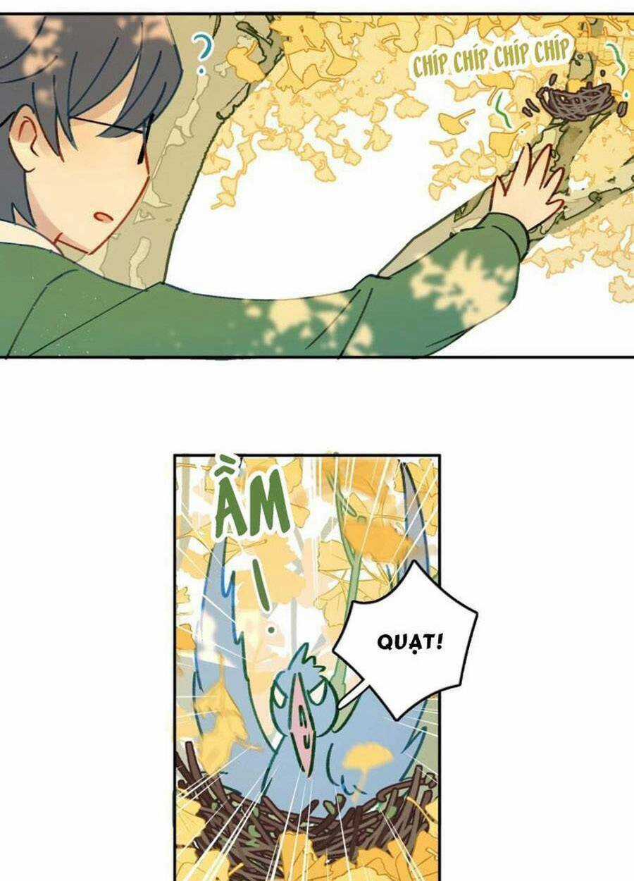 Khi Mộng Thần Yêu Chapter 74 trang 34