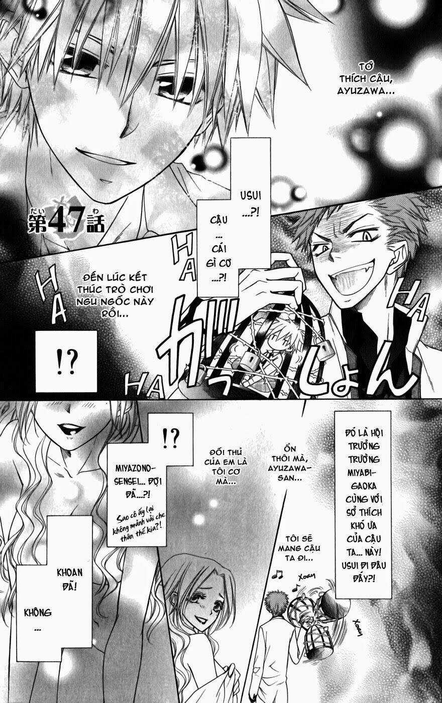 Khi sếp là hầu bàn Chapter 47 trang 4