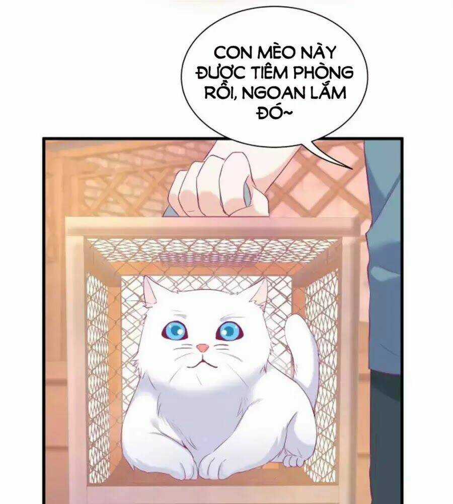 Khi Trò Chơi Ác Ma Bắt Đầu Chapter 126 trang 236