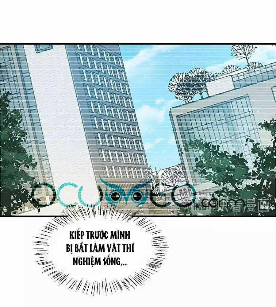 Khóa Chặt Đôi Môi Chapter 99 trang 14