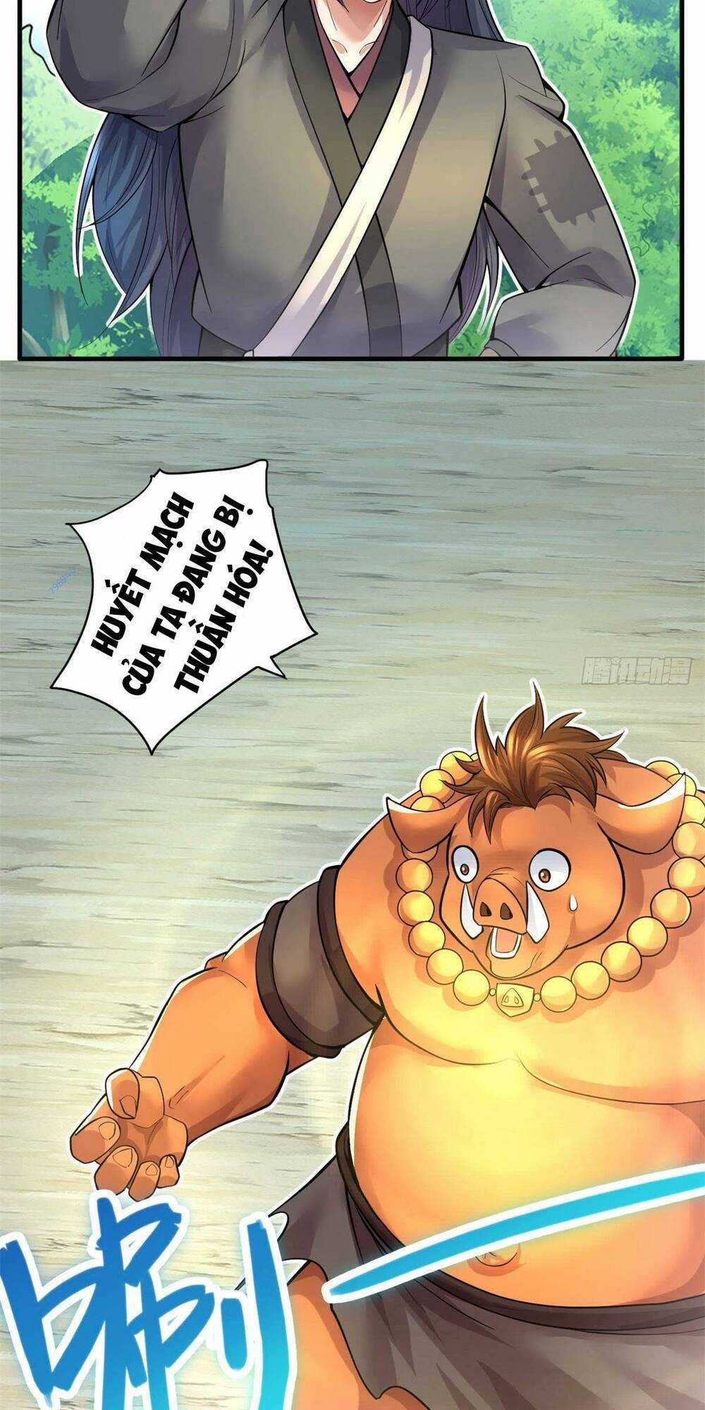 Khởi Đầu Có Kiếm Vực, Ta Sẽ Trở Thành Kiếm Thần Chapter 41 trang 23