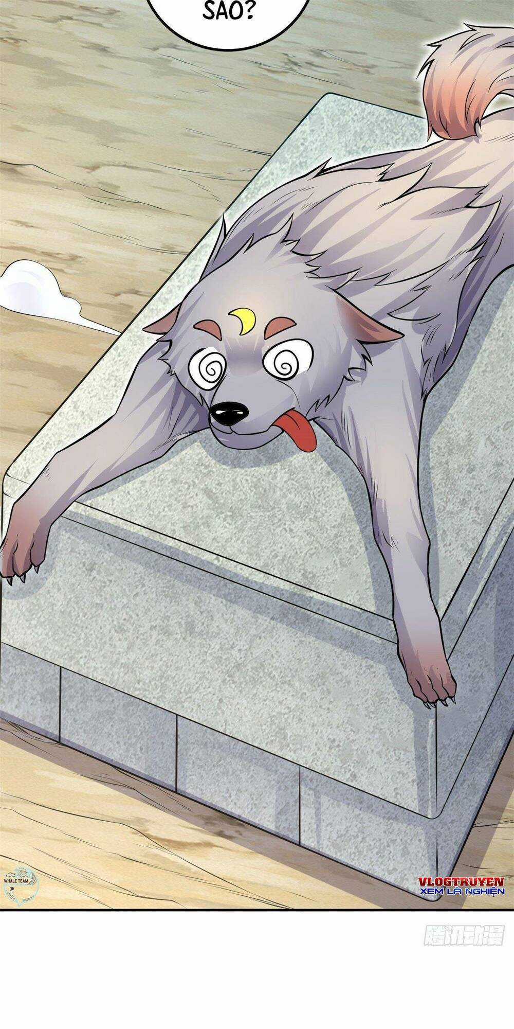 Khởi Đầu Có Kiếm Vực, Ta Sẽ Trở Thành Kiếm Thần Chapter 5 trang 20