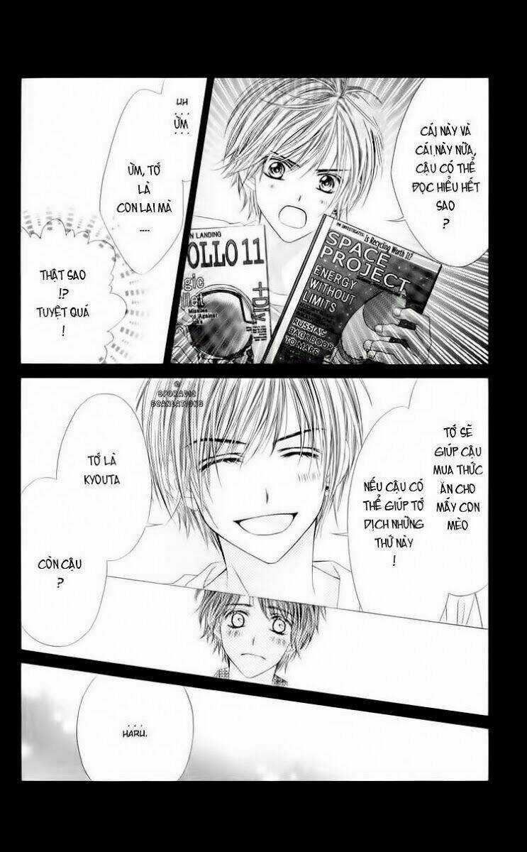 Khởi Đầu Tình Yêu Chapter 8 trang 12