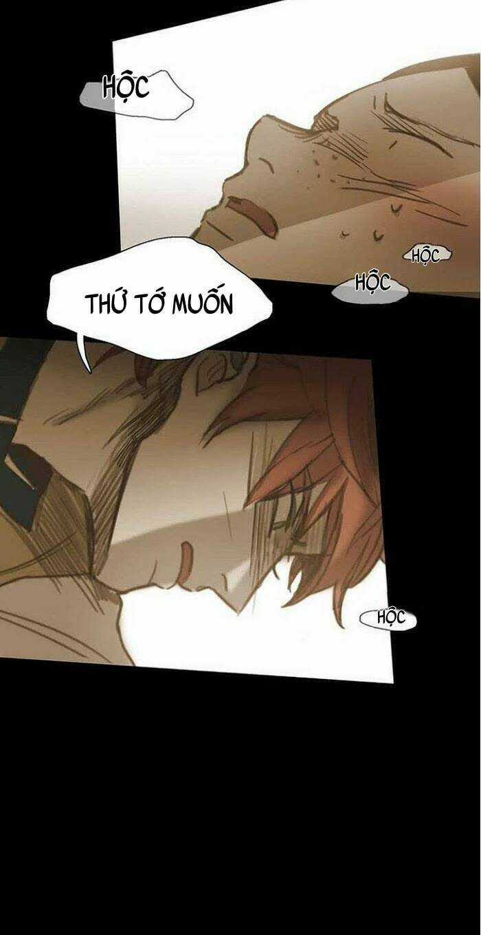 Không Bao Giờ Hiểu Chapter 38 trang 51