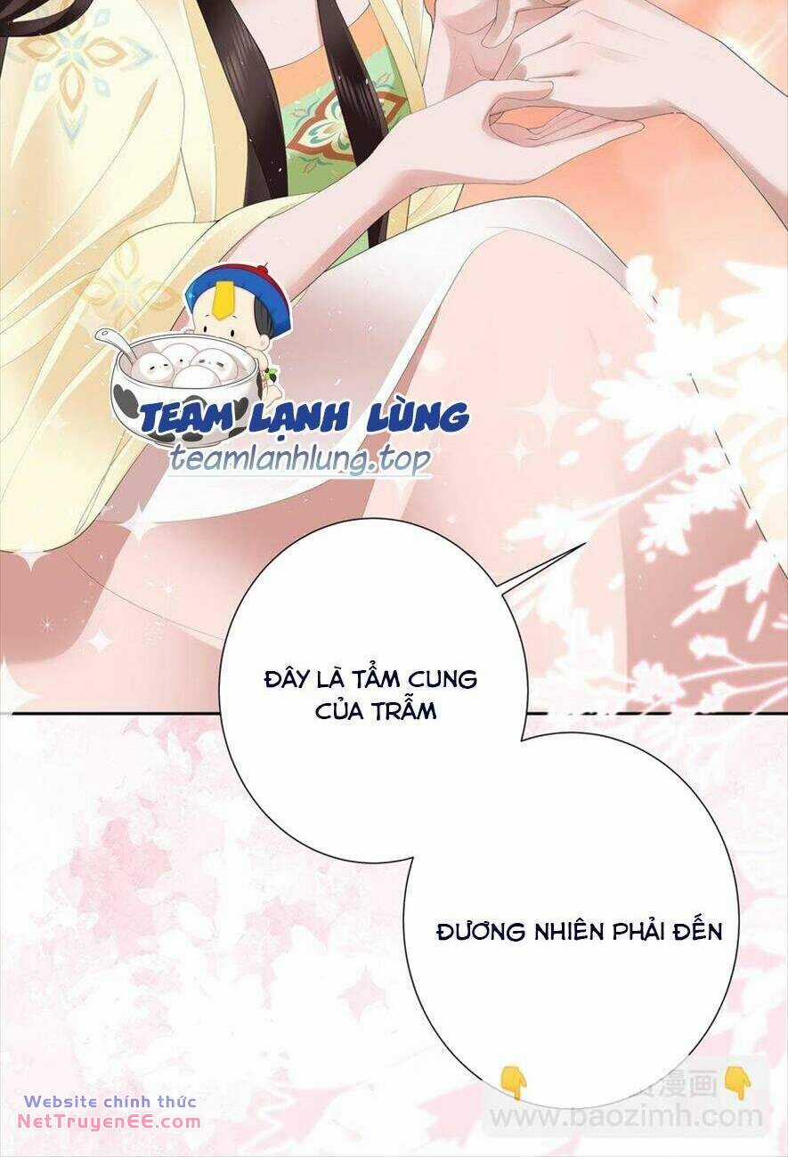 Không Biết Bệ Hạ Là Một Tiểu Cô Nương Chapter 20 trang 11