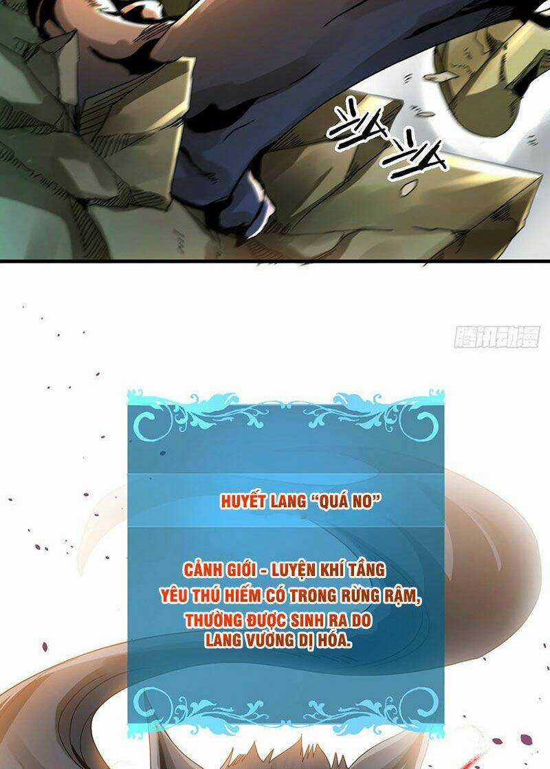 Không Có Đạo Lữ Sẽ Chết Chapter 5 trang 5