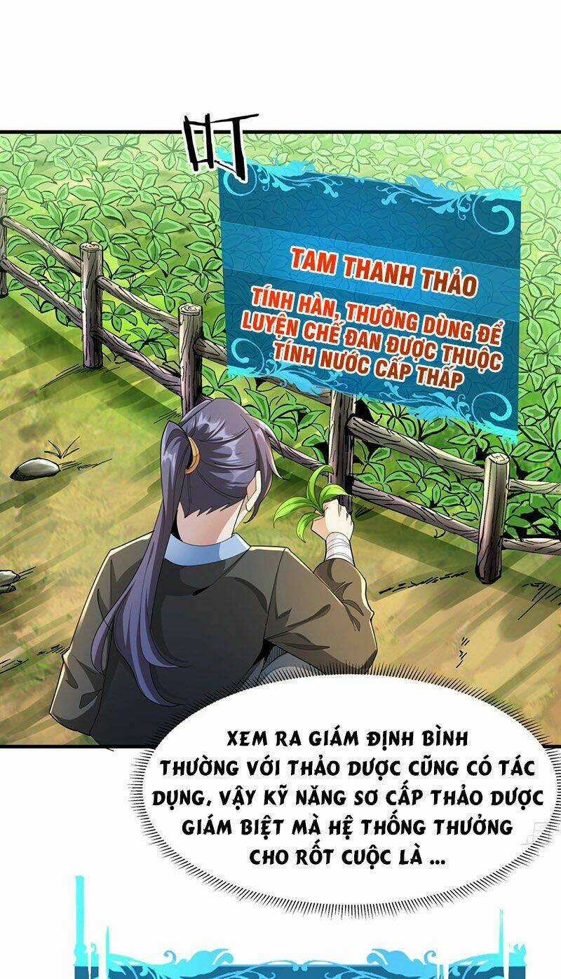 Không Có Đạo Lữ Sẽ Chết Chapter 8 trang 29