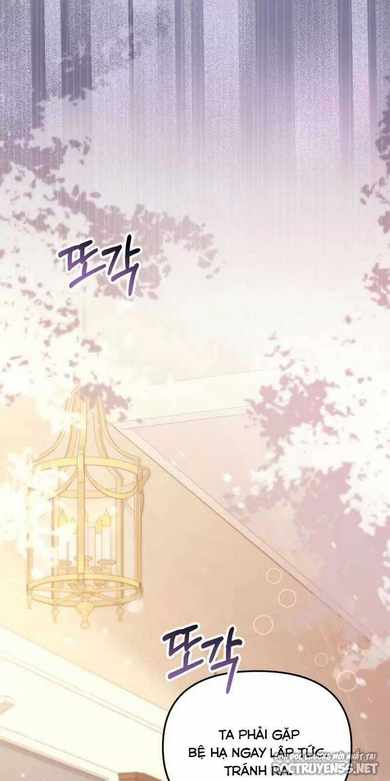 Không Có Nơi Nào Dành Cho Công Chúa Giả Mạo Chapter 19 trang 9