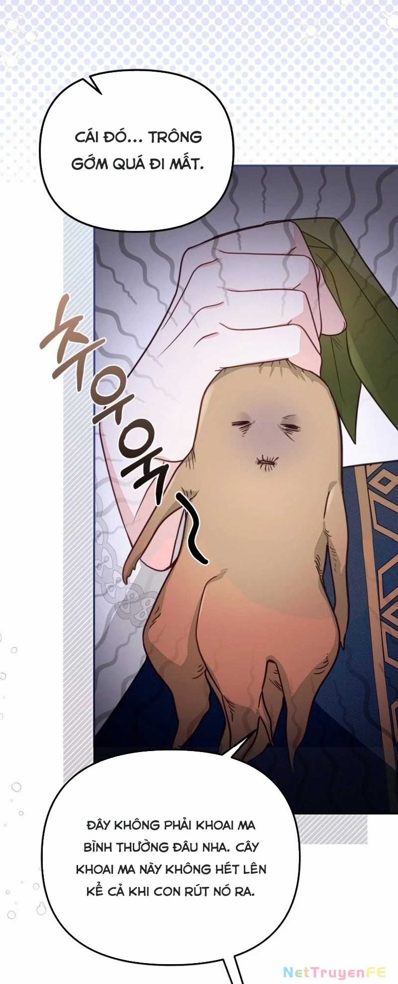 Không Có Nơi Nào Dành Cho Công Chúa Giả Mạo Chapter 68 trang 19