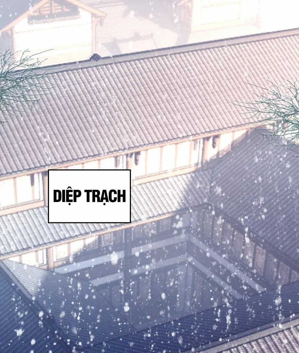 Không Nhường Nữa Ta Chết, Ta Liền Thật Vô Địch Chapter 14 trang 2