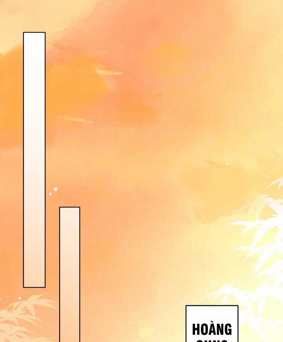 Không Nhường Nữa Ta Chết, Ta Liền Thật Vô Địch Chapter 22 trang 24