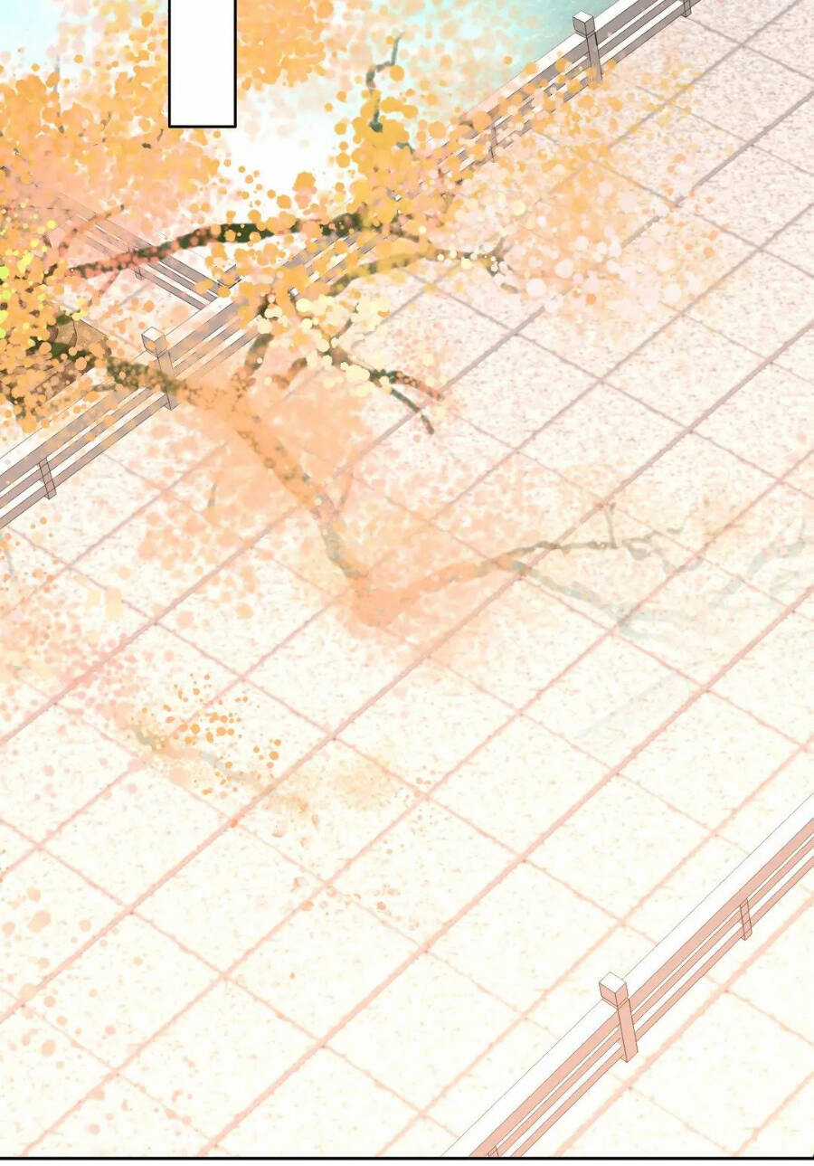 Không Nhường Nữa Ta Chết, Ta Liền Thật Vô Địch Chapter 25 trang 42