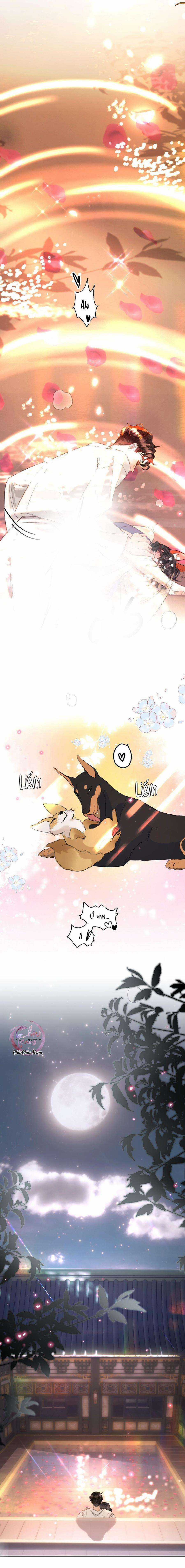 Không Thể Cưỡng Lại Người Yêu Dính Người Món quà ý nghĩa nhất cho người thân yêu Chapter 40 trang 9