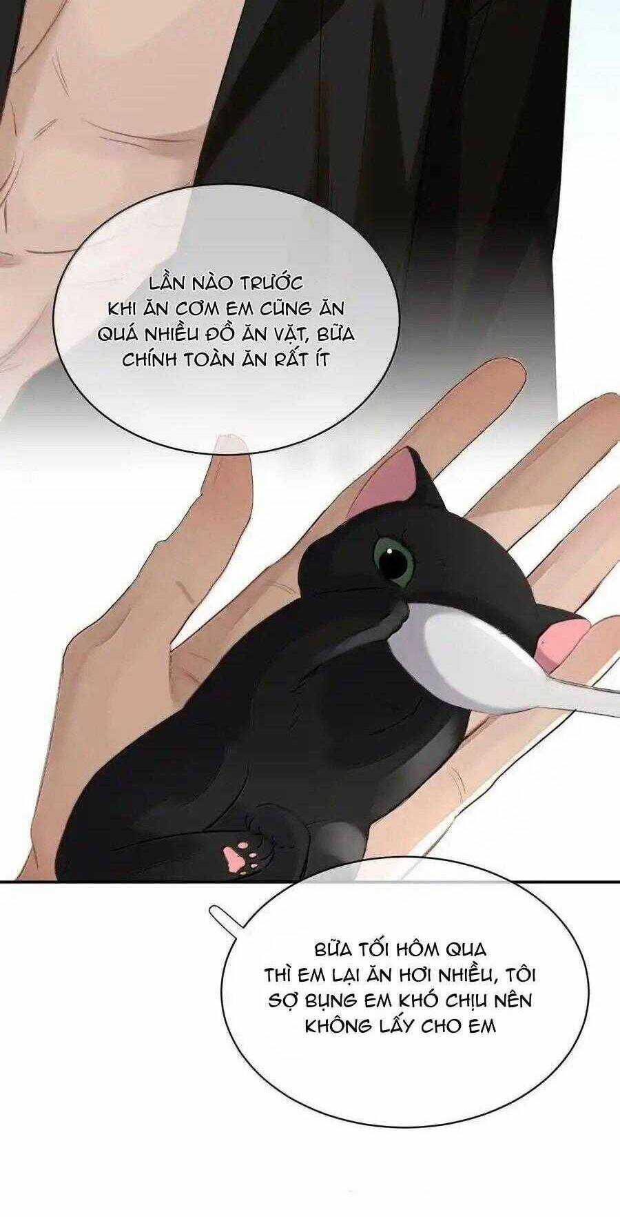 Không Thể Cưỡng Lại Người Yêu Dính Người Chương 59 trang 12