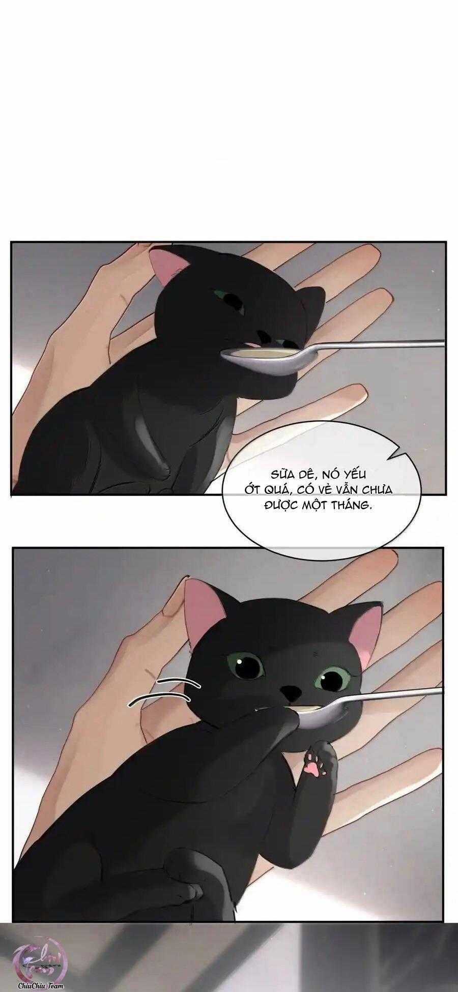 Không Thể Cưỡng Lại Người Yêu Dính Người Chương 59 trang 8