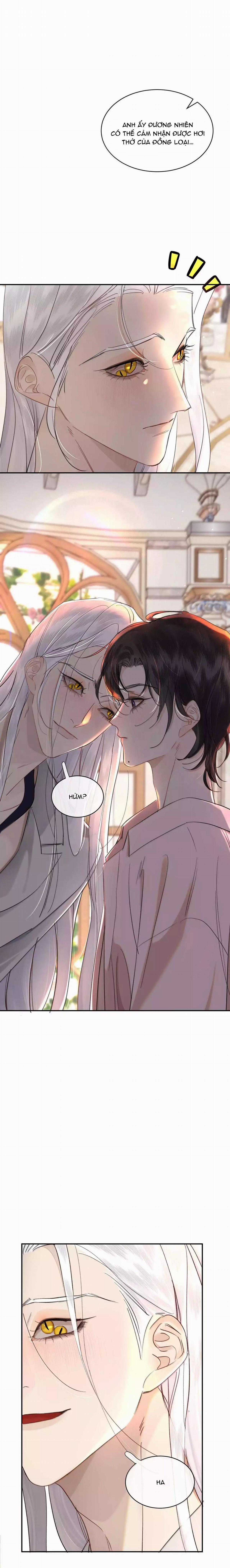 Không Thể Cưỡng Lại Người Yêu Dính Người Chương 79 trang 11