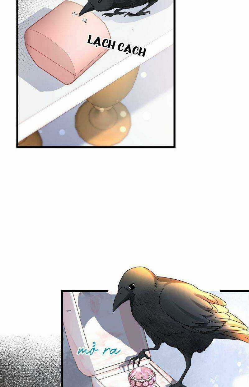 Không Thể Hòan Hảo Tuyệt Đối Chapter 11 trang 34