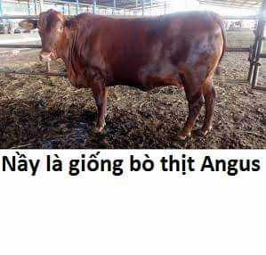 Không Xóa Sổ Con Người Được!! Chapter 21.2 trang 14