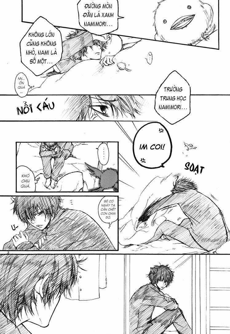 Khr Doujinshi - Theseuse H Chapter 0 trang 5