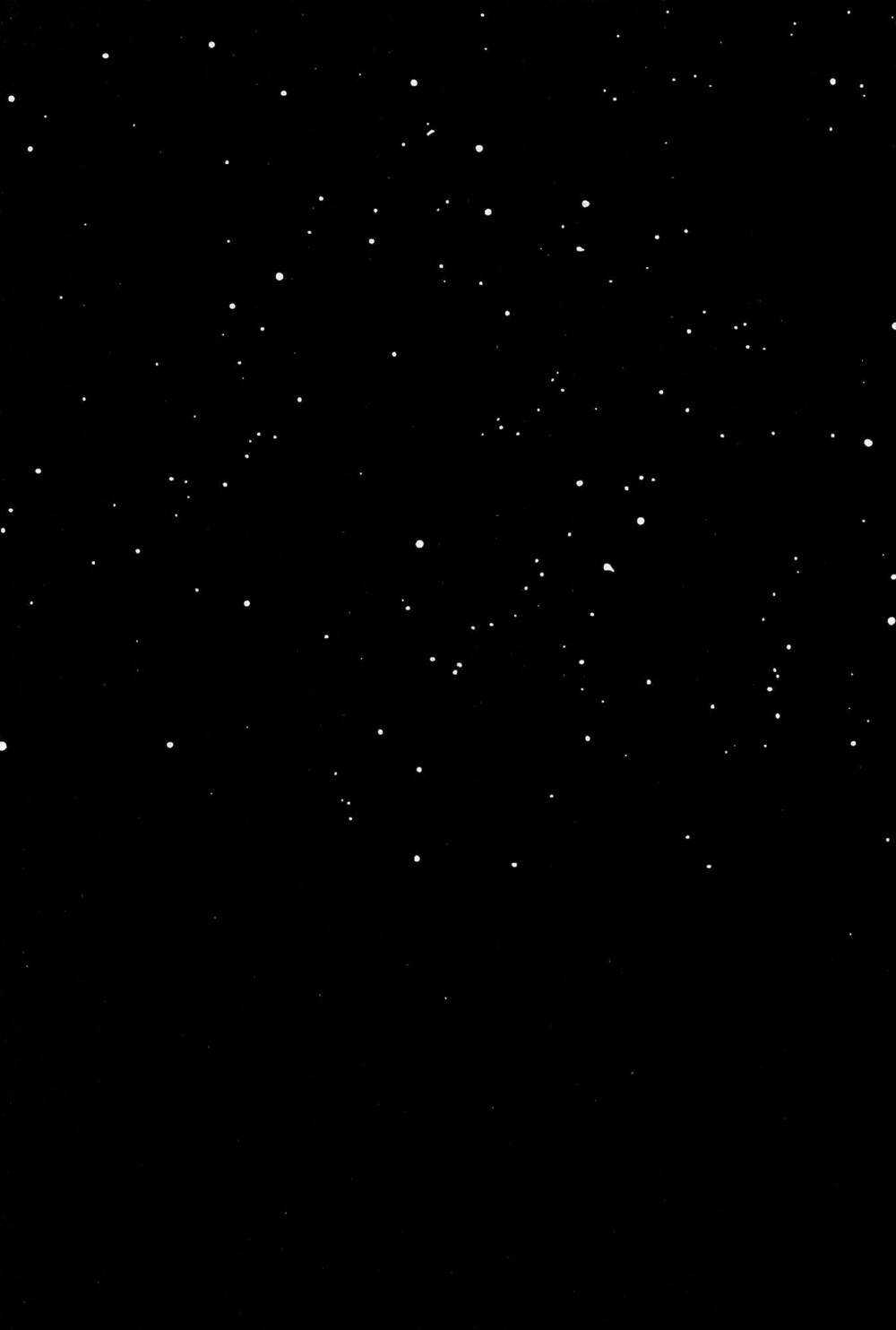 Khu rừng của Niini Chapter 2 trang 2