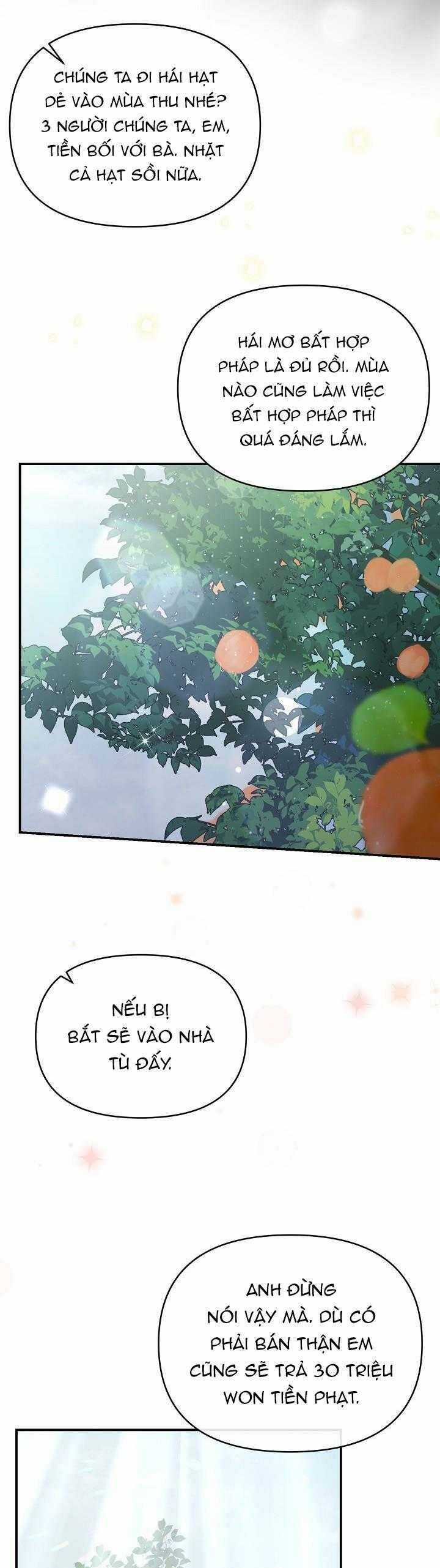 Khu Vực Chủ Nghĩa Tình Yêu Chương 51 trang 13