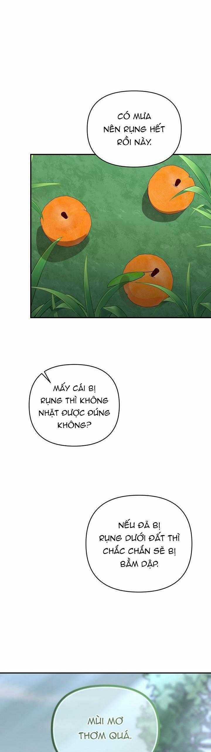 Khu Vực Chủ Nghĩa Tình Yêu Chương 51 trang 3