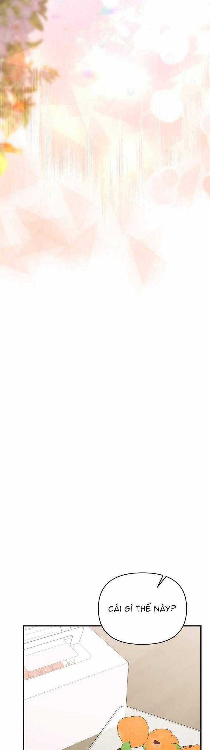 Khu Vực Chủ Nghĩa Tình Yêu Chương 51 trang 33