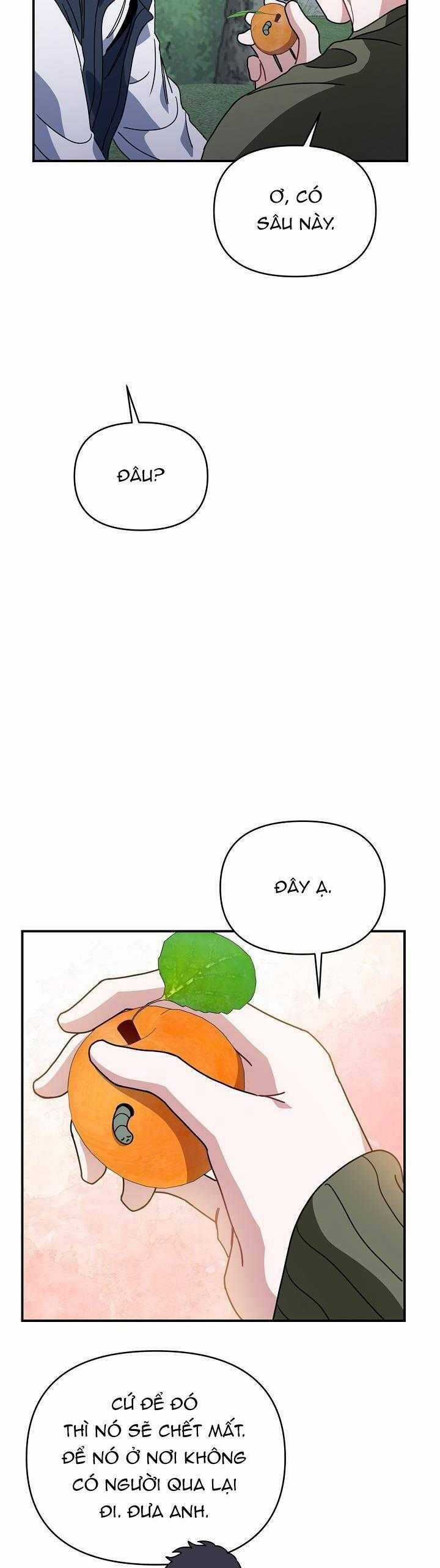 Khu Vực Chủ Nghĩa Tình Yêu Chương 51 trang 5