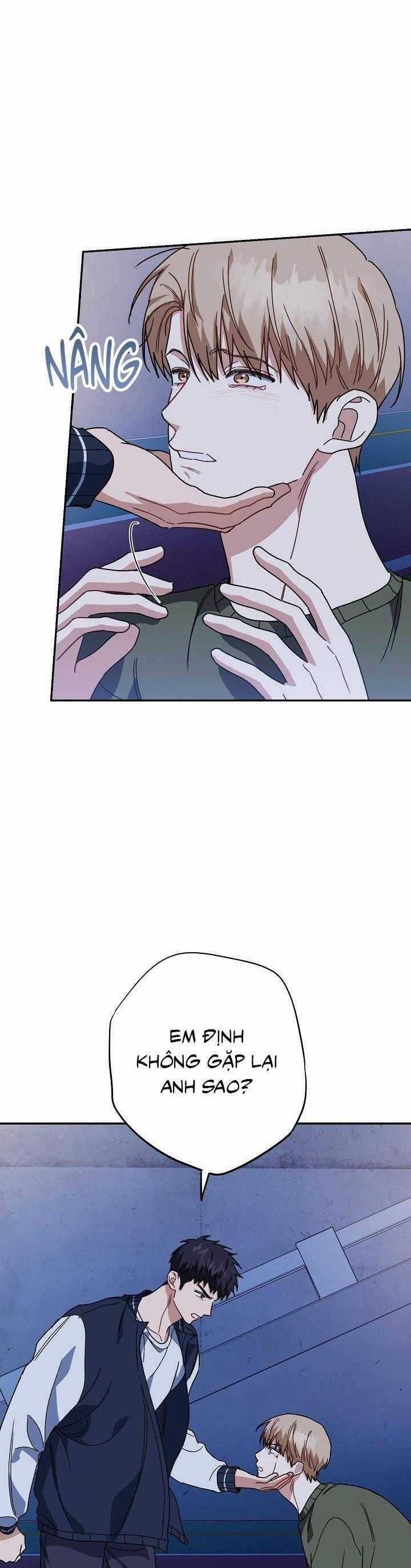 Khu Vực Chủ Nghĩa Tình Yêu Chương 54 trang 17