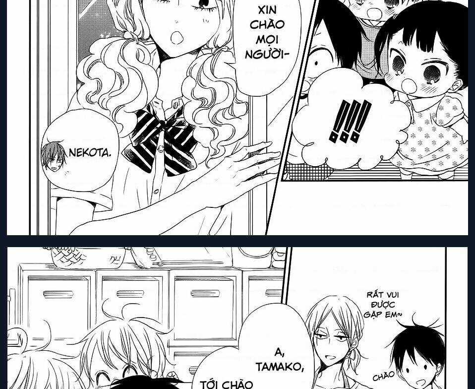 Khuấy Động Trường Nuôi Dạy Trẻ Chapter 65 trang 12