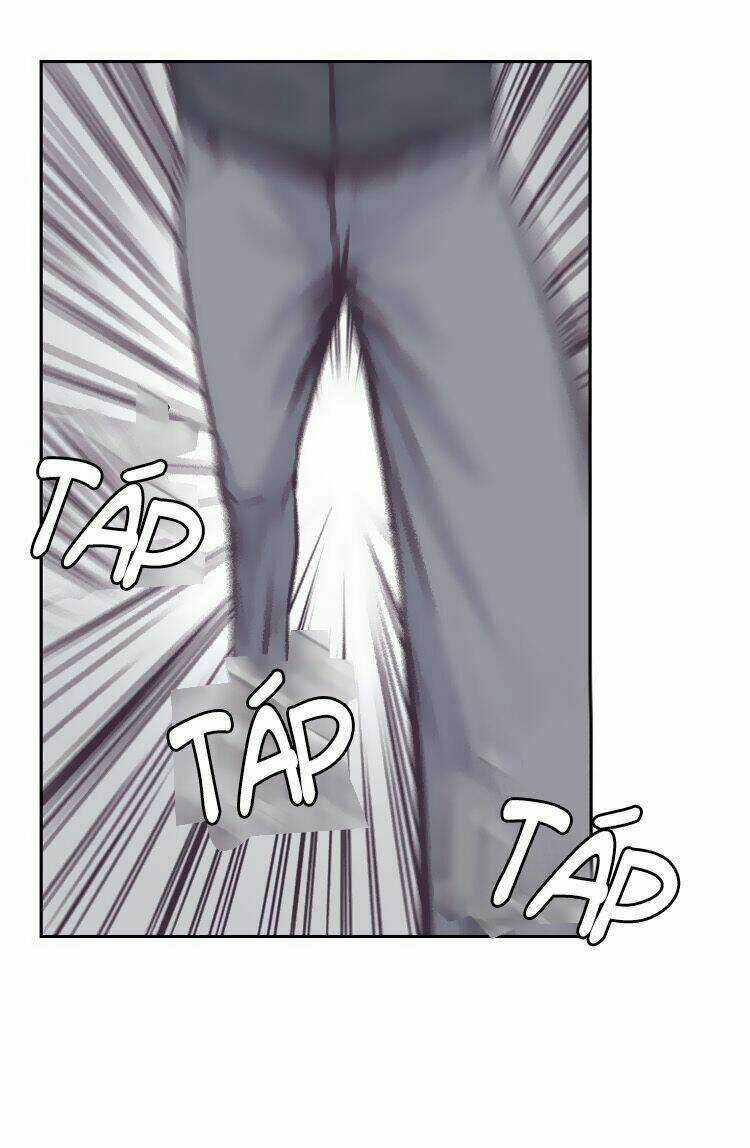 Khúc Bi Ca Của Vua Hoa Hồng Chapter 177 trang 8