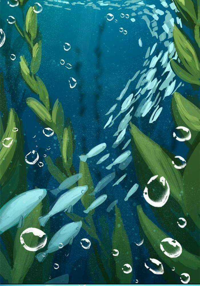 Khúc hát người cá Siren Chapter 13 trang 29