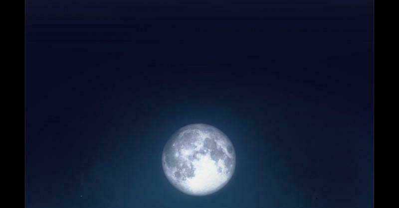 Khúc hát người cá Siren Chapter 2 trang 26