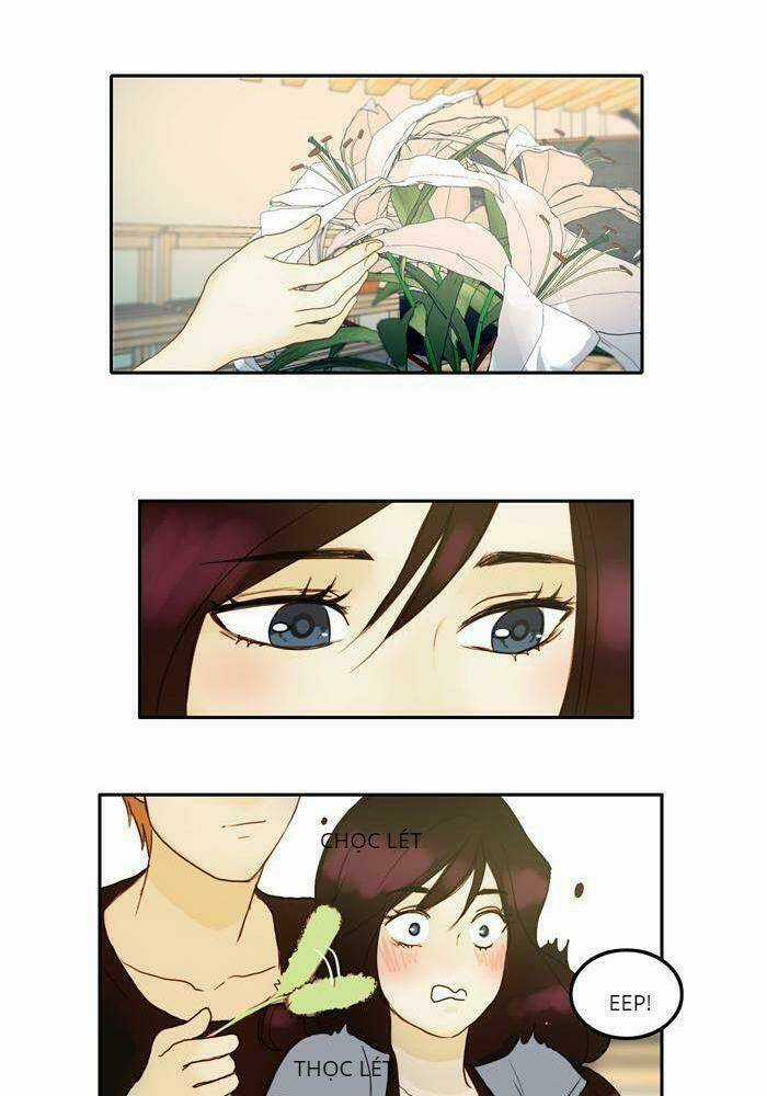 Khúc hát người cá Siren Chapter 26 trang 6