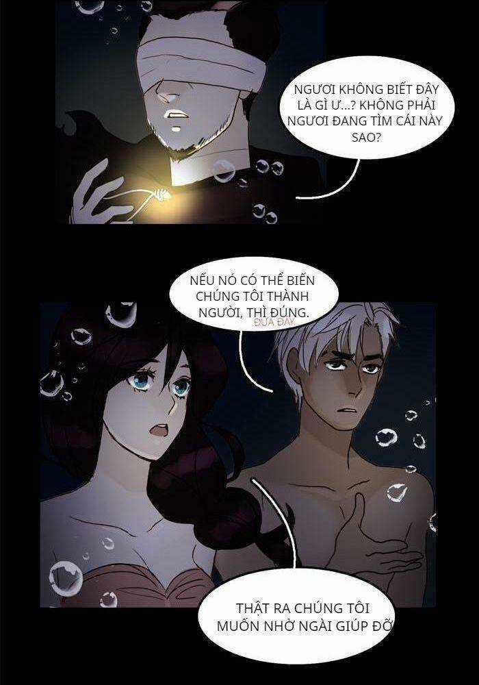 Khúc hát người cá Siren Chapter 37 trang 13