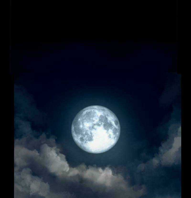 Khúc hát người cá Siren Chapter 4 trang 5