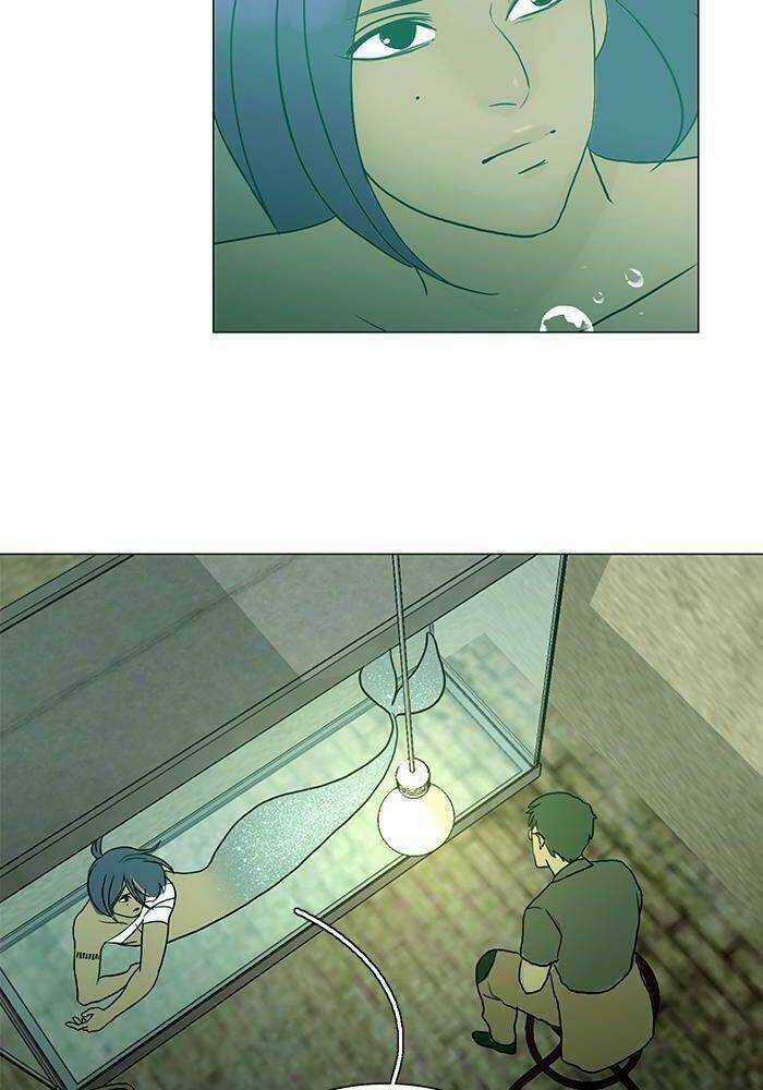 Khúc hát người cá Siren Chapter 73 trang 5