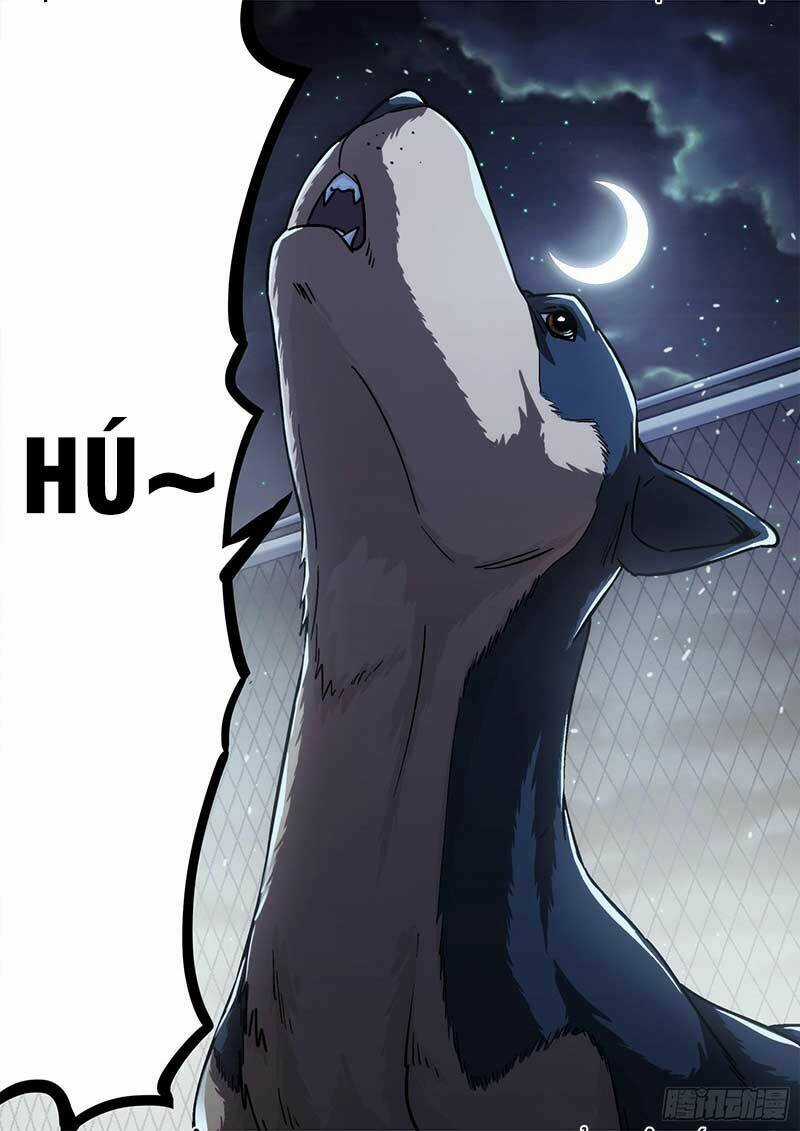 Khung Đỉnh Chi Thượng Chapter 70 trang 22