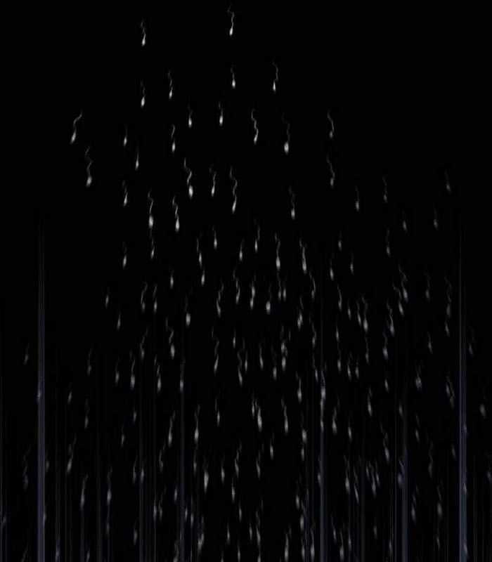 Khuyết Nhân Chapter 18 trang 2