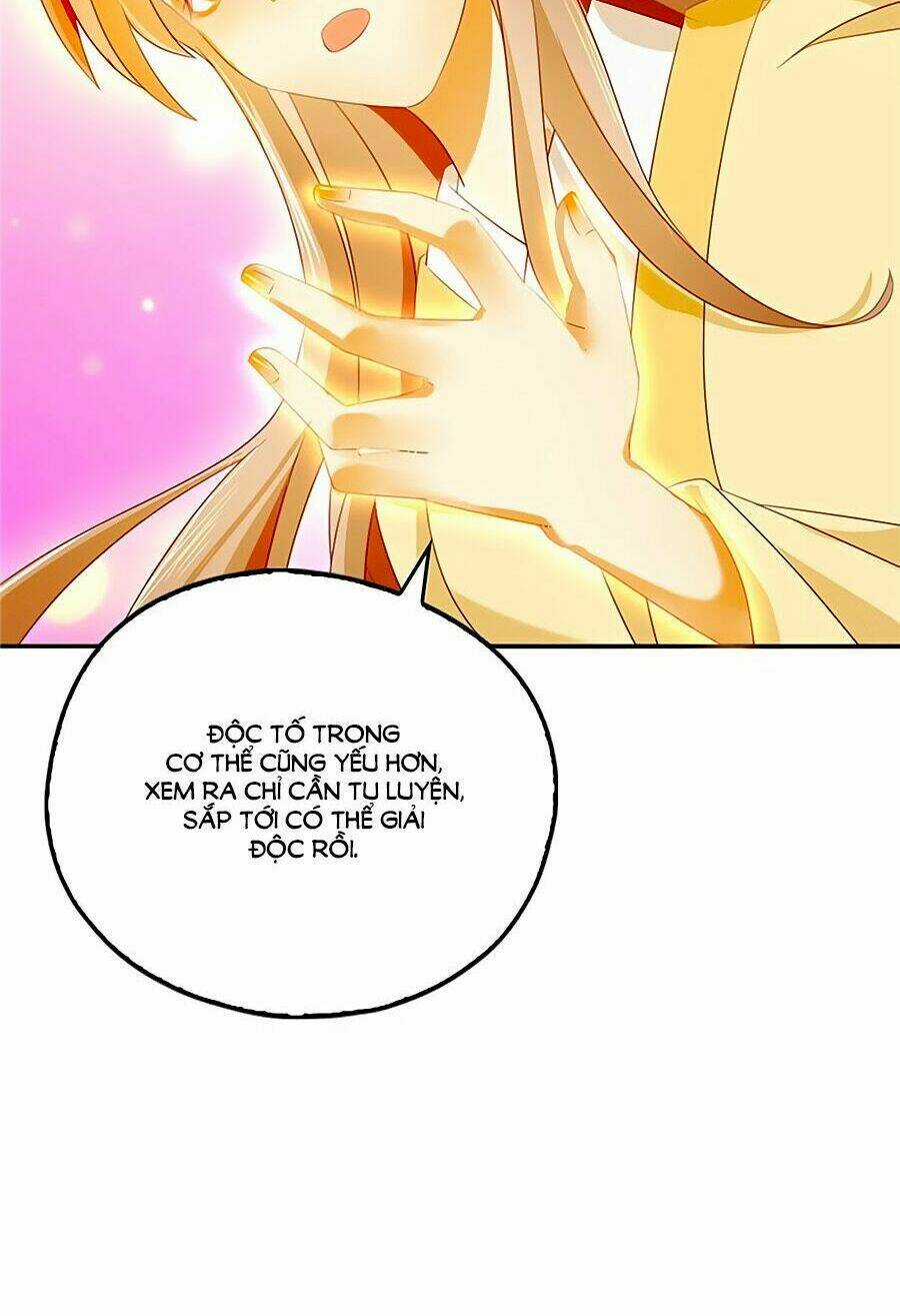 Khuynh Thành Cuồng Phi Của Tà Vương Chapter 4 trang 9