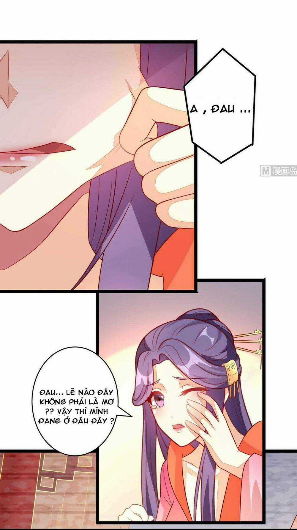 Khuynh Thế Thần Thâu Của Ngự Quân Ký Chapter 4 trang 5