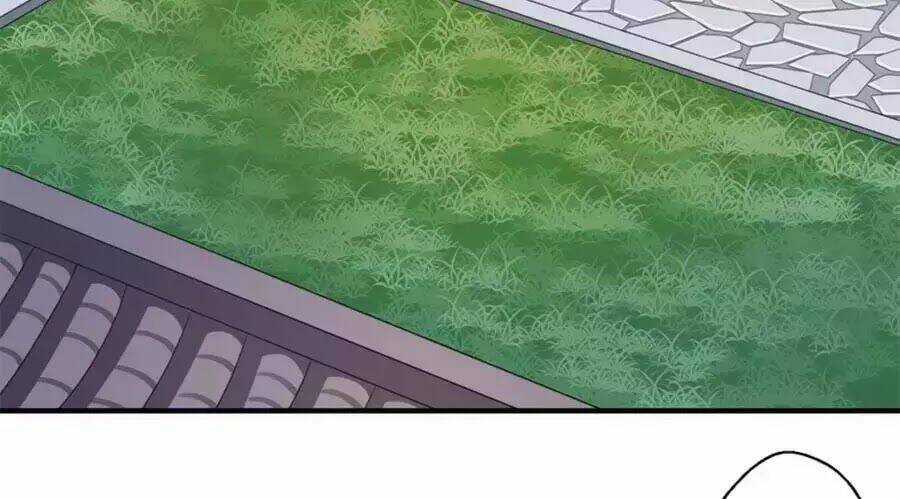 Khuynh Thế Y Phi Muốn Bỏ Chồng Chapter 114 trang 17