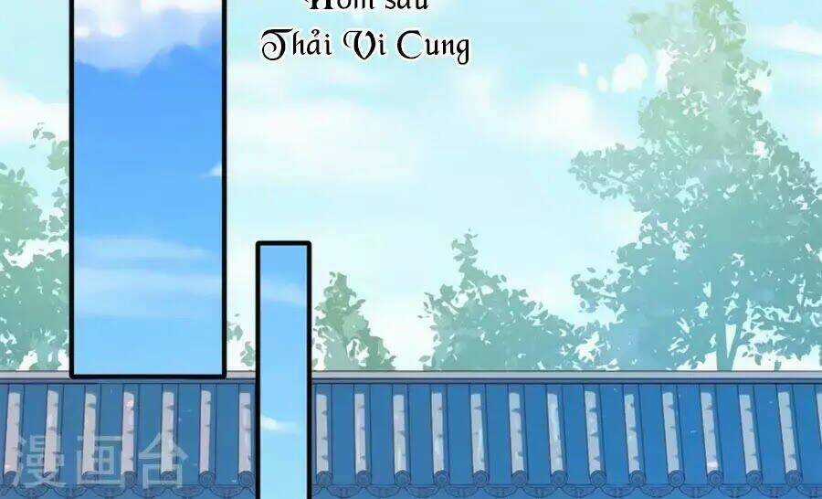 Khuynh Thế Y Phi Muốn Bỏ Chồng Chapter 117 trang 23