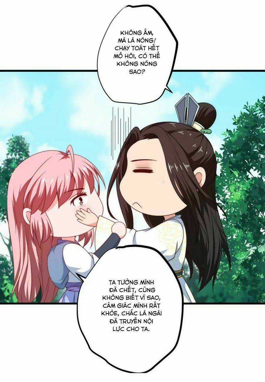 Khuynh Thế Y Phi Muốn Bỏ Chồng Chapter 12 trang 24