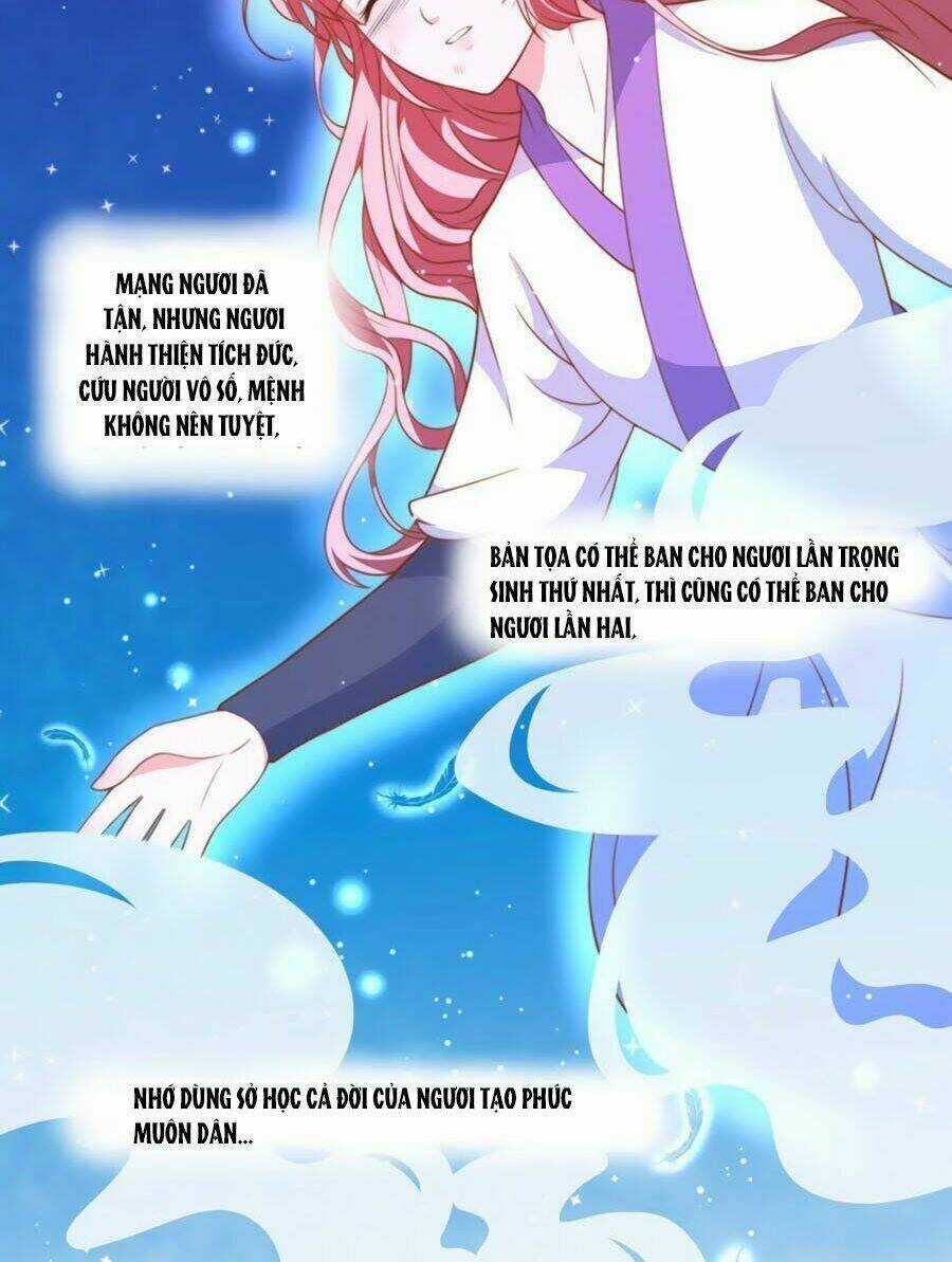 Khuynh Thế Y Phi Muốn Bỏ Chồng Chapter 12 trang 5