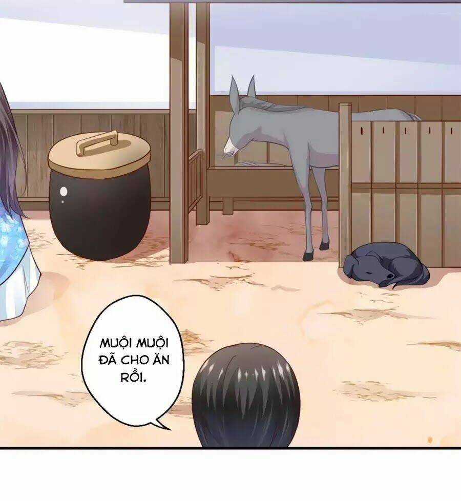 Khuynh Thế Y Phi Muốn Bỏ Chồng Chapter 125 trang 34