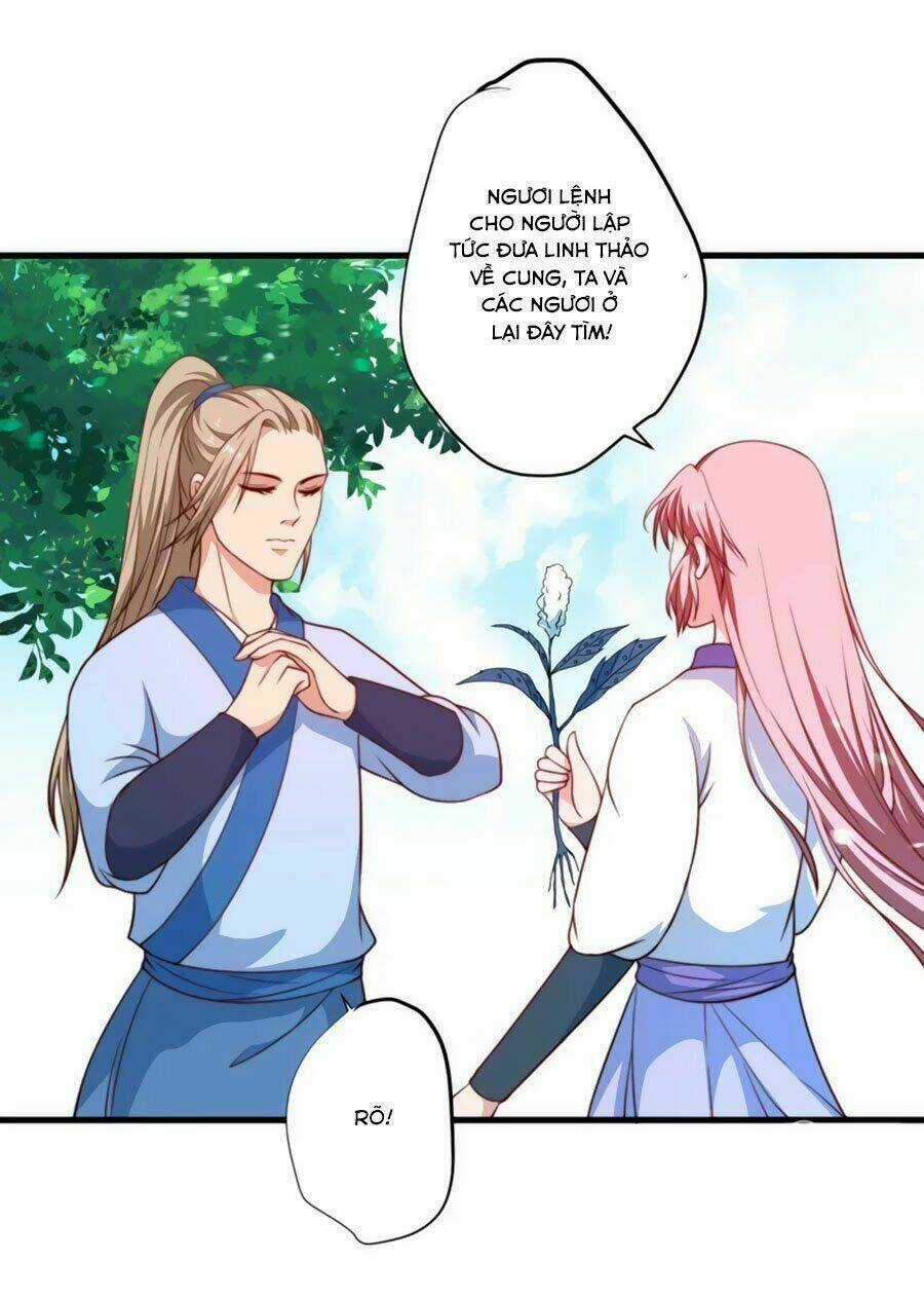 Khuynh Thế Y Phi Muốn Bỏ Chồng Chapter 13 trang 27