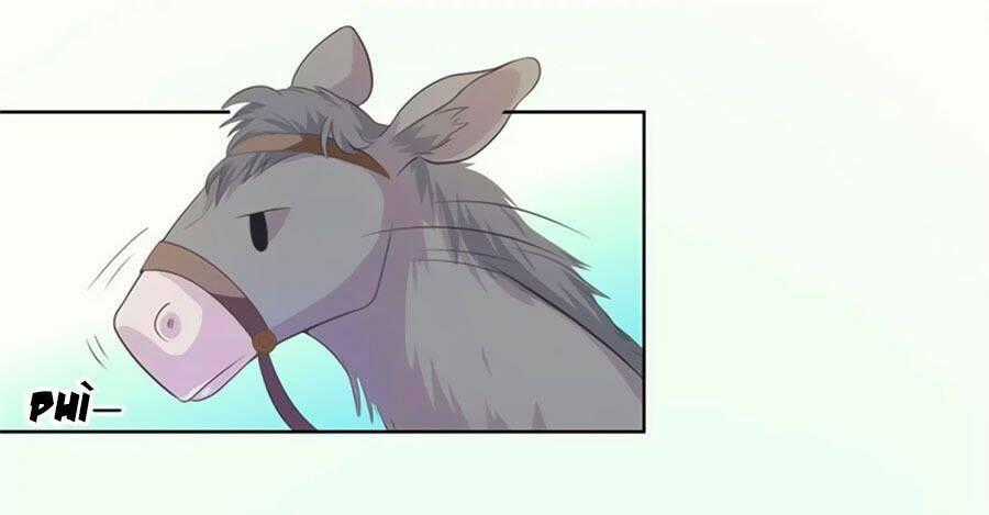 Khuynh Thế Y Phi Muốn Bỏ Chồng Chapter 27 trang 31