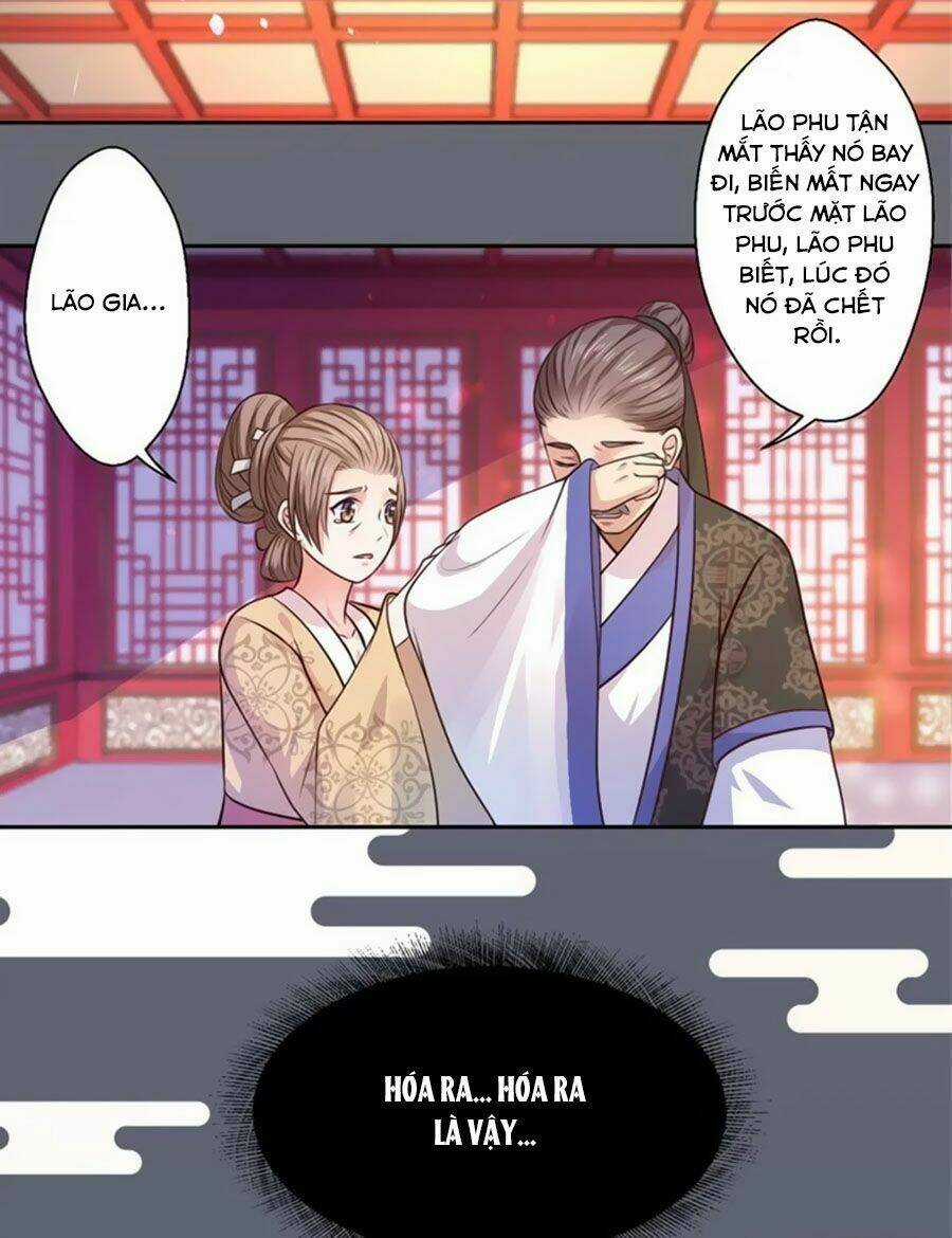 Khuynh Thế Y Phi Muốn Bỏ Chồng Chapter 28 trang 13