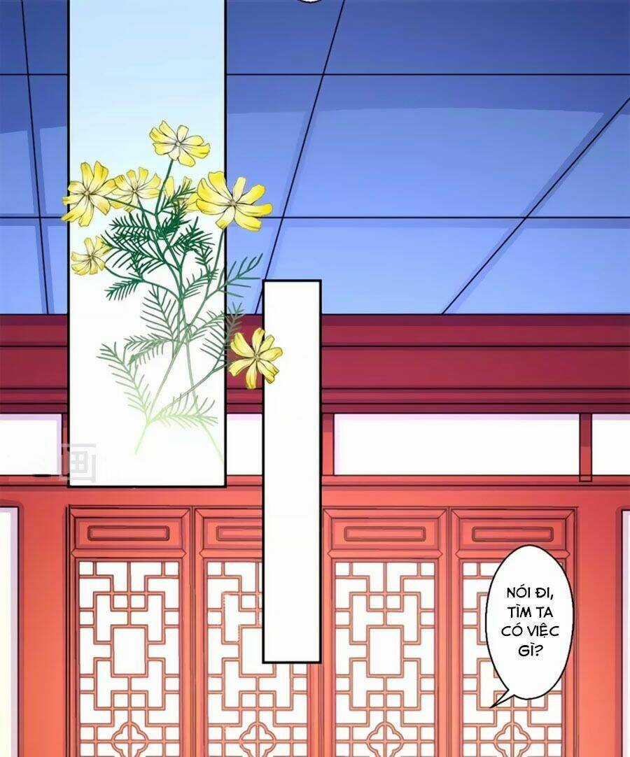 Khuynh Thế Y Phi Muốn Bỏ Chồng Chapter 42 trang 19